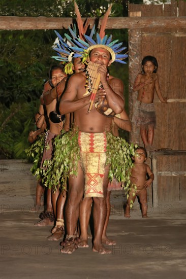 Traditional tribal dance from the Dessanos tribe with face paintings and wearing a traditional hat made of feathers, Rio Taruma, Manaus, Amazon state, Brazil