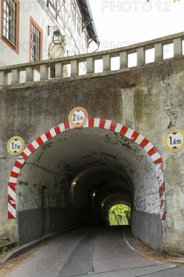 Rauenstein Castle, west side with tunnel, Pockau-Lengefeld, Erzgebirge, Saxony, Germany