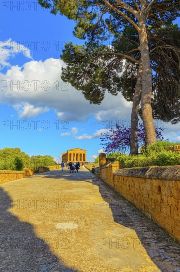 Temple of Concordia, Valley of Temples, Agrigento, Sicily, Italy