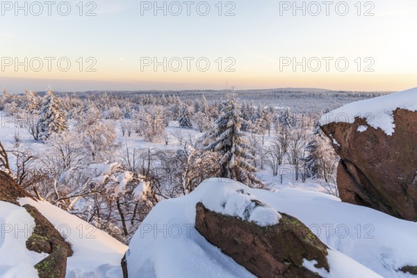 View from Großer Lugstein of the winter landscape with snow-covered trees and branches covered with hoarfrost on the Ore Mountains Ridge at sunset, Zinnwald-Georgenfeld, Altenberg, Eastern Ore Mountains, Saxony, Germany