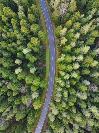 A bird's eye view of the road as it curves through dense green forests, Agenbach, Black Forest, Germany