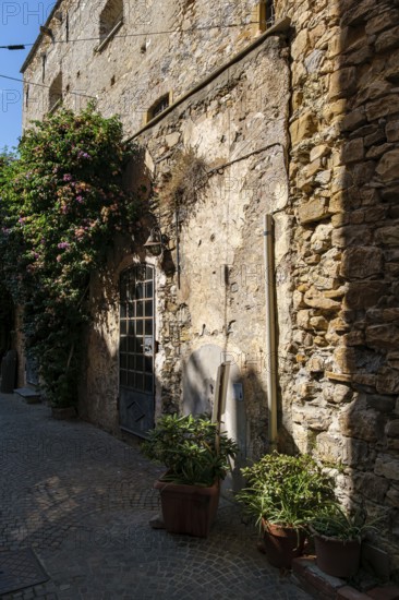 Rear view of the castle and town museum in the medieval old town centre of Cervo, province of Imperia, Liguria, Italy