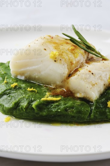 A succulent cod fillet sits atop a beautiful green spinach puree, garnished with herbs and citrus zest. The dish showcases a harmonious blend of flavors in a simple yet elegant presentation