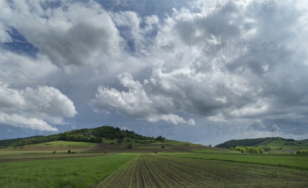 Cluster clouds (cumulus) over the landscape in the southern Carpathian Arc, Romania
