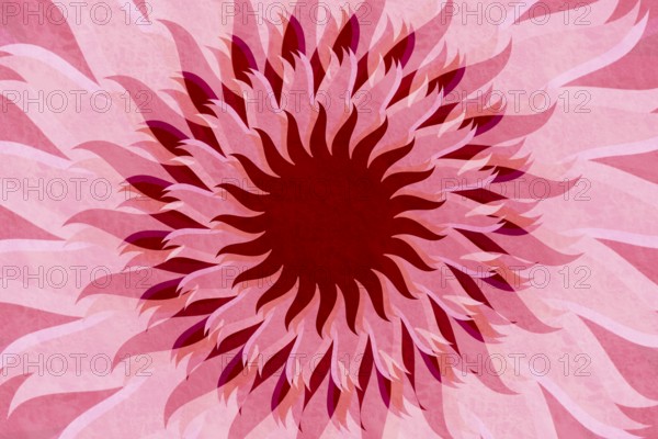 An artistic floral background featuring a layered pattern of pink and red abstract petals in a dynamic burst, ideal for creative projects