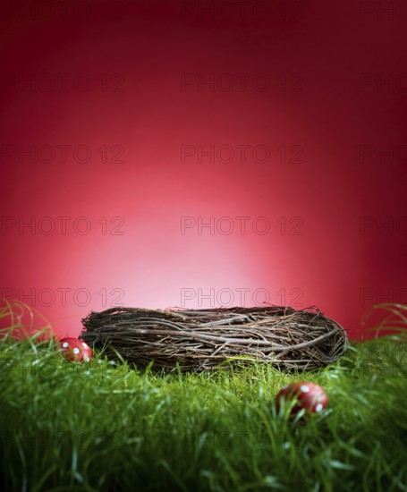 Turf in front of a red background, with an Easter nest and 2 red Easter eggs, studio shot