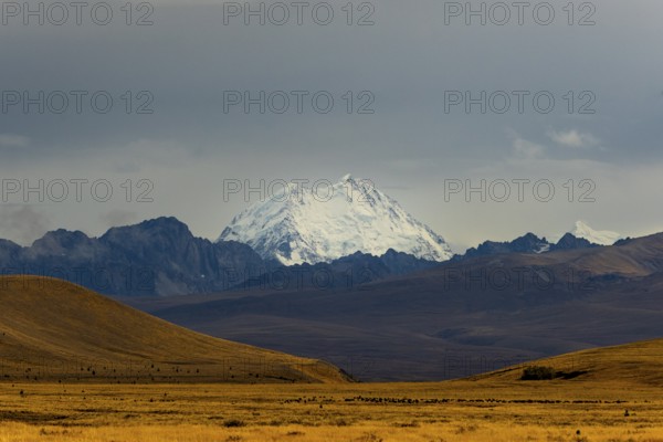 Majestic snow-capped Mount Cook surrounded by dramatic landscapes in the Canterbury region of New Zealand, showcasing natural beauty