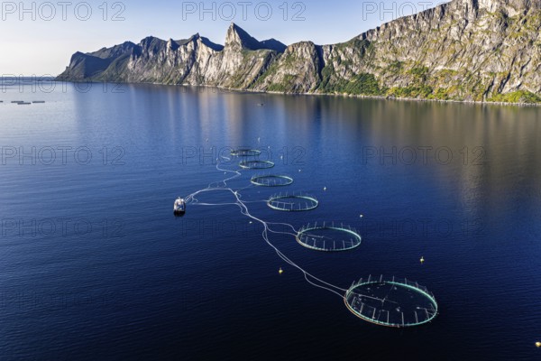 Aerial view of a salmon farm, aquaculture in the Mefjord on Senja island, in the background the peak of famous Segla mountain, Senja, Norway