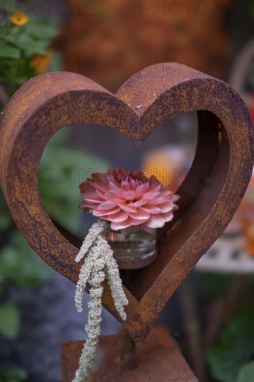 Rusty heart with pink flower in a glass in front of a soft, green backdrop, North Rhine-Westphalia, Germany