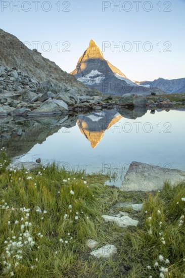 Serene landscape of the Matterhorn in the Swiss Alps, captured at dawn. The iconic peak reflects beautifully in the still waters, surrounded by rugged terrain and lush greenery