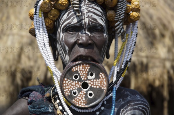 Africa, Ethiopia, Omo River Valley, Morsi, woman, woman, plate lips, lip plate, clay plate in the lower lip, one person, Omo Valley, Ethiopia