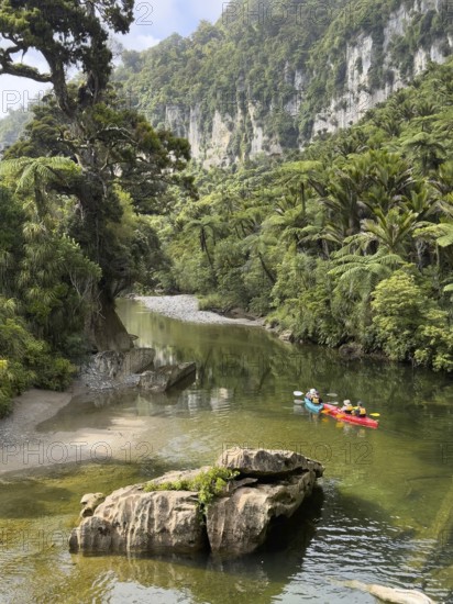 Paddle boats on the Pororari River Track, Paparoa National Park, South Island, New Zealand, Oceania