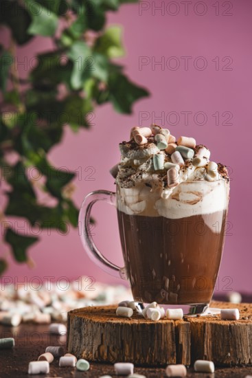 Hot chocolate with whipped cream, cocoa powder and marshmallows on a wooden board, pink background