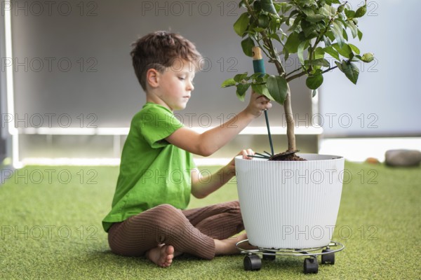 A young boy in a green shirt and brown pants sits on green indoor carpet, tending to a potted plant with a tool, showing concentration in gardening and care for the plant
