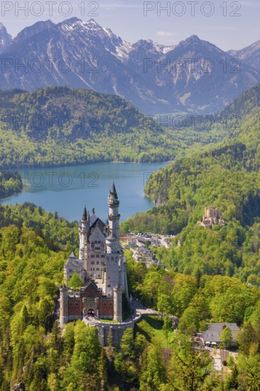 View of Neuschwanstein Castle in front of a tranquil lake and impressive mountain ranges, Schwangau, Ostallgäu, Allgäu, Swabia, Upper Bavaria, Bavaria, Germany