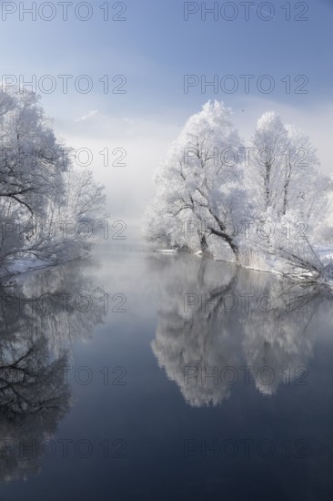 Lake Kochelsee in Bavaria, Germany. River Loisach leaving the lake. Winter, hoar frosted trees standing riverside in fog mixed with sunlight