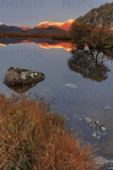 Mountains reflected in lake, morning light, morning mood, still, autumn, snowy, Lochan na h-Achlaise, Scottish Highlands, Scotland, Great Britain