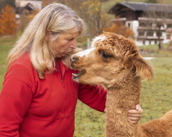 An elderly woman shows affection to a brown alpaca in the lush countryside of Austria, with a rustic house in the background