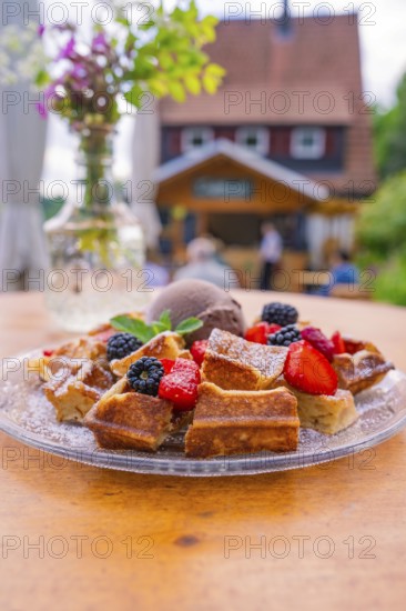 Waffles with berries and ice cream on a table with a café in the background, Cafehäusle Calw, Black Forest, Germany