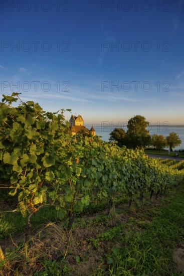 Meersburg Castle, Old Castle, Sunset, Meersburg, Lake Constance, Baden-Württemberg, Germany