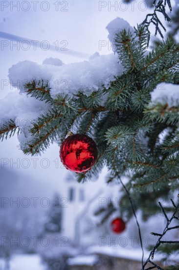 Snow-covered branch with red Christmas bauble, church tower in the background, Enzklösterle, district of Calw, Black Forest, Germany