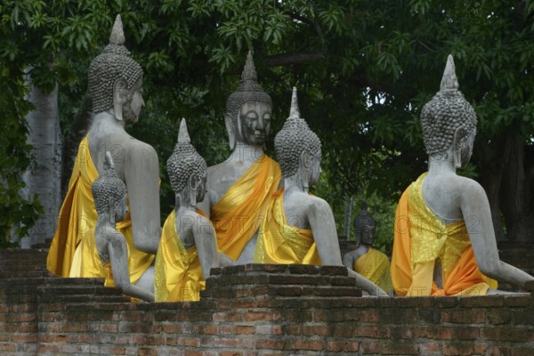 Stone Buddha statues draped in vibrant yellow cloth sit peacefully against a backdrop of lush green foliage in Chiang Mai, Thailand. Evoking a sense of calm and spiritual reflection in Ayutthaya