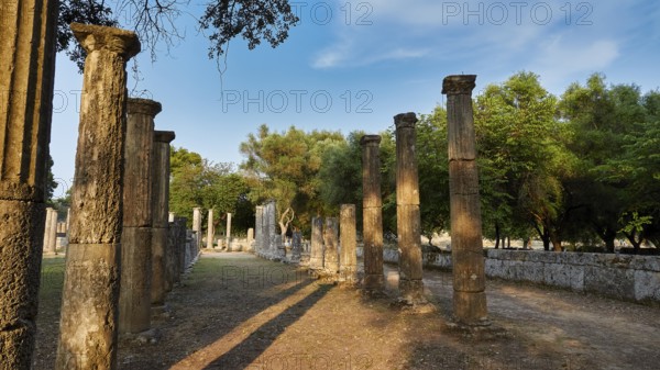 Palestra, long row of ancient columns lined with trees and sky, Archaeological Site, Ancient Olympia, Olympia, Peloponnese, Greece