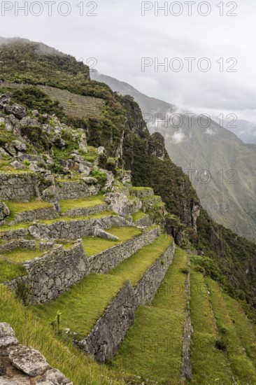 Terraces used for farming at Machu Picchu, Machu Picchu, Cusco Region, Peru