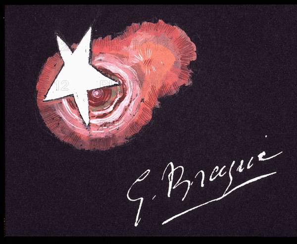 Braque, Projet de bijou