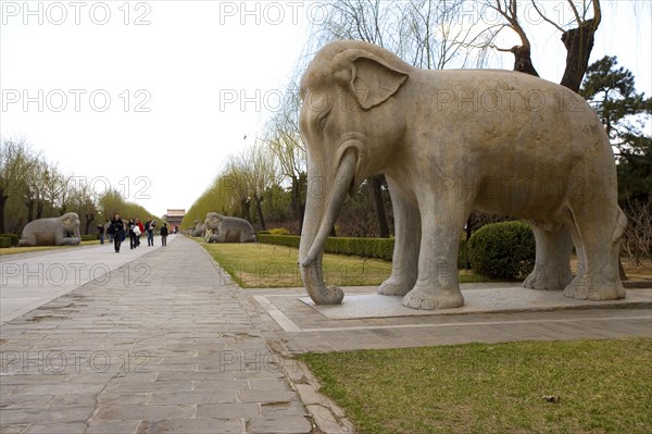 Sacred Way,The Ming Tombs