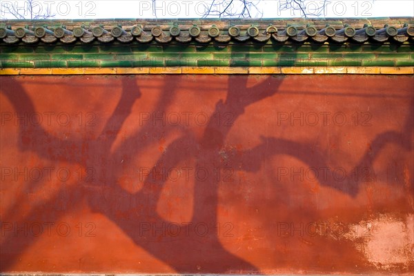 the Forbidden City,Forbidden City,Beijing