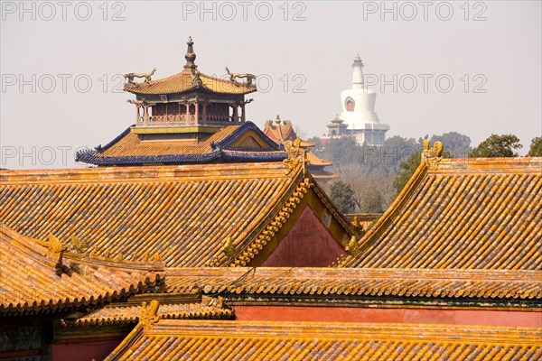 the Forbidden City,Forbidden City,Beijing