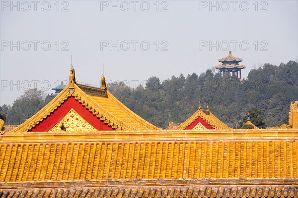 the Forbidden City,Forbidden City,Beijing