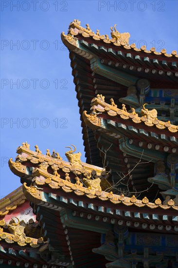 the Forbidden City,Forbidden City,Beijing