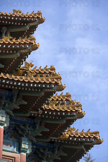 the Forbidden City,Forbidden City,Beijing