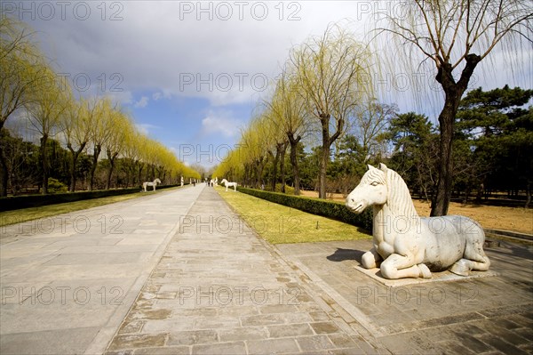 Sacred Way,The Ming Tombs