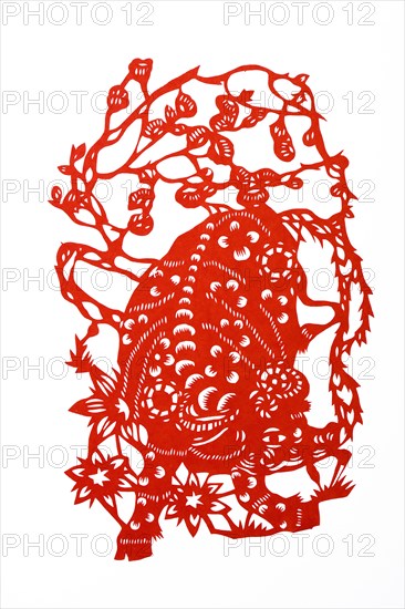 Chinese Paper cuts