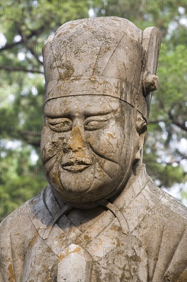 View of Confucius Forest in Qufu,Shandong