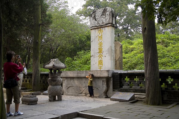 View of Confucius Forest in Qufu,Shandong