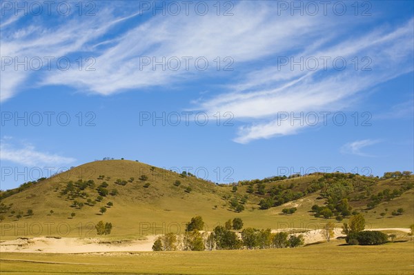 View of Bashang high plain,Neimenggu