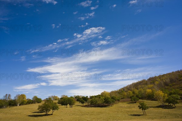 View of Bashang high plain,Neimenggu