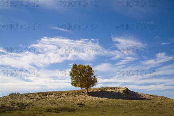 View of Bashang high plain,Neimenggu