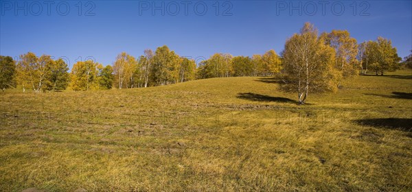 View of Bashang high plain,Neimenggu