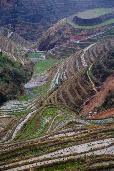 Longji Terraces,Guangxi