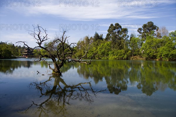 Heilong Tan,Yunnan