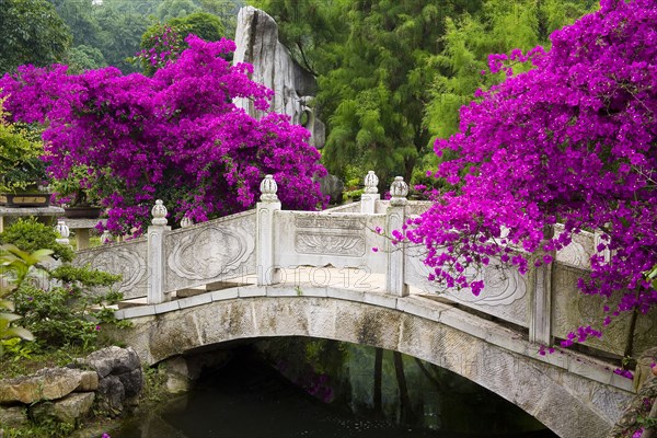Guizhou,Huang guo shu Waterfall,Waterfall,Huangguoshu,Huang guo shu,Water,