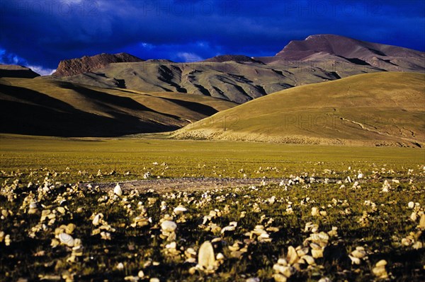 Tibet