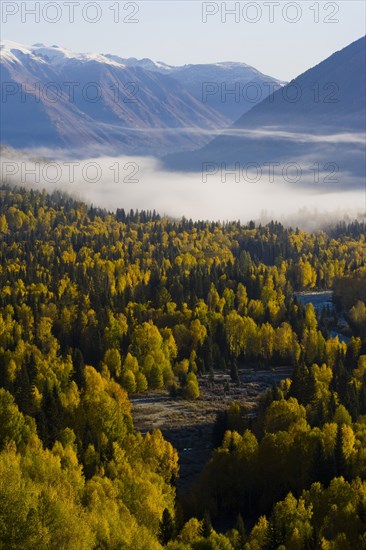 Xinjiang Province, Aletai,