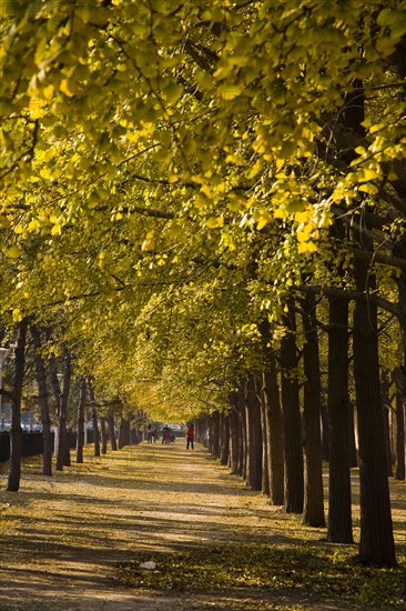 Beijing
