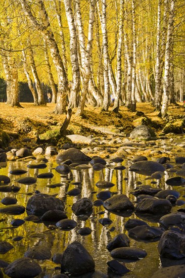 Xinjiang Province, Aletai,